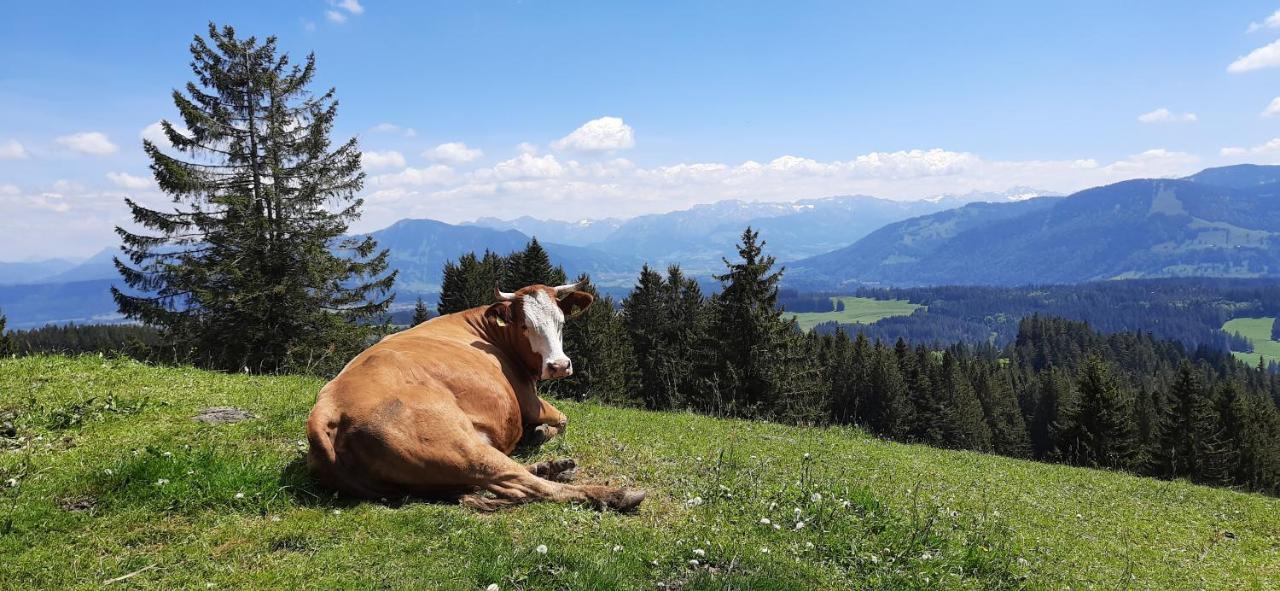 Ferienwohnung Boeck, Wengen Im Allgaeu Weitnau Екстериор снимка
